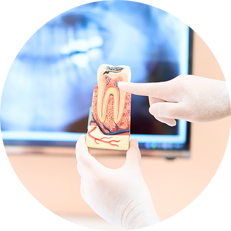 院長　福田 典利